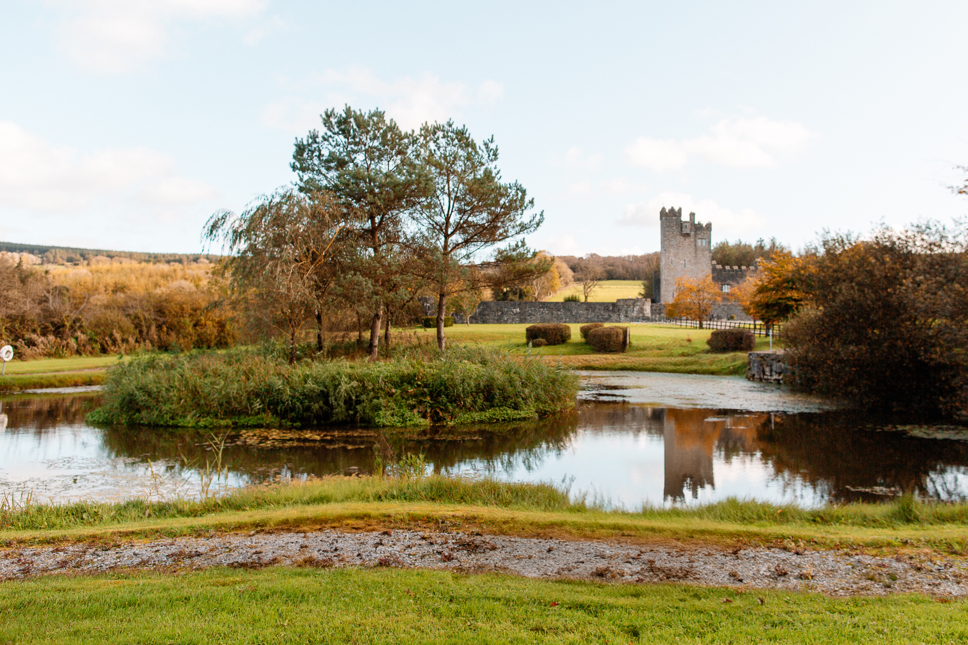 A pond with a castle in the background