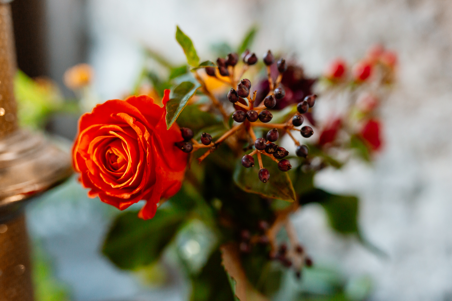 A red rose with green leaves