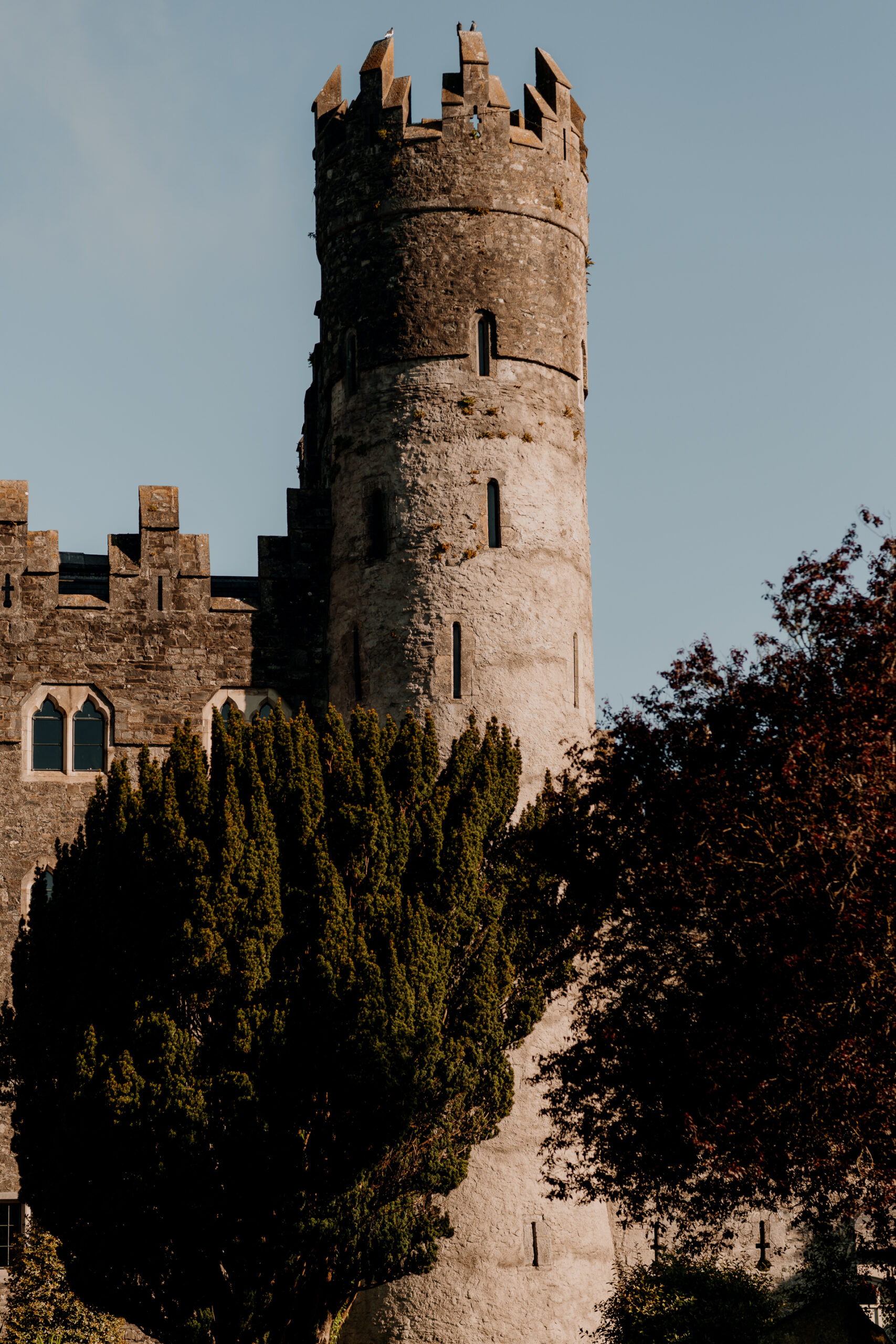 Kilkea castle Wedding