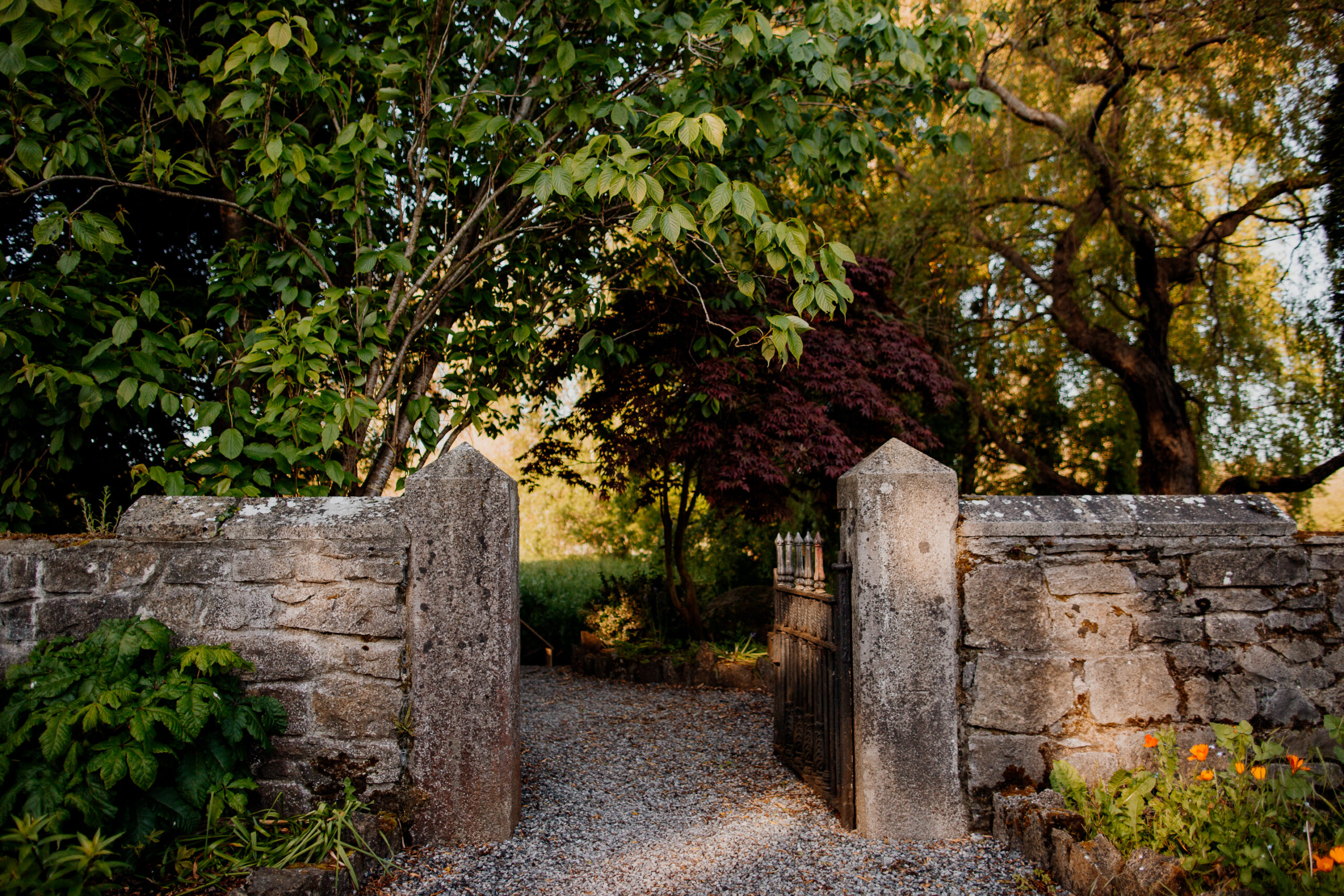 kilkea-castle-wedding-photoshoot-romantic-couples-session