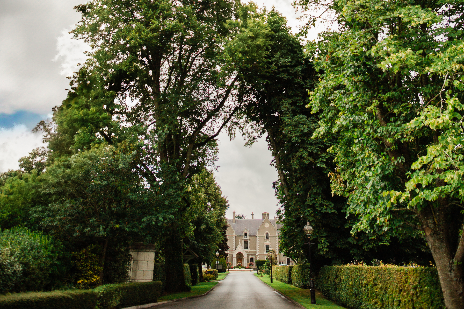 A road with trees on the side