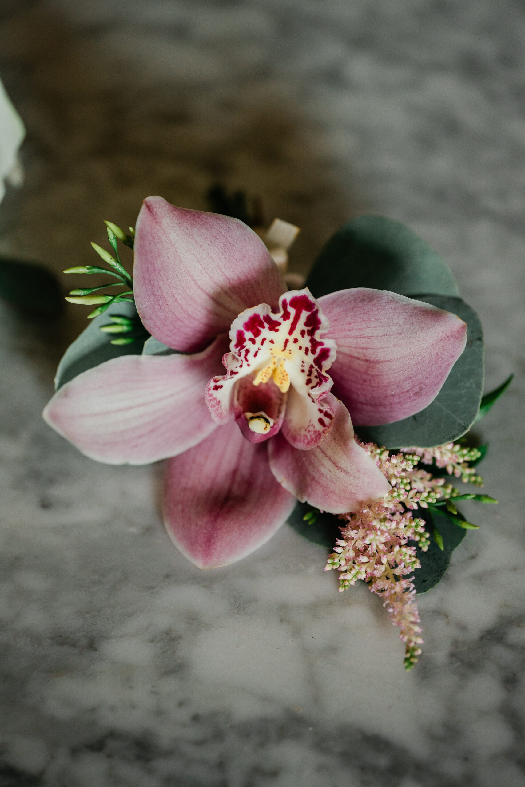 A close up of a flower