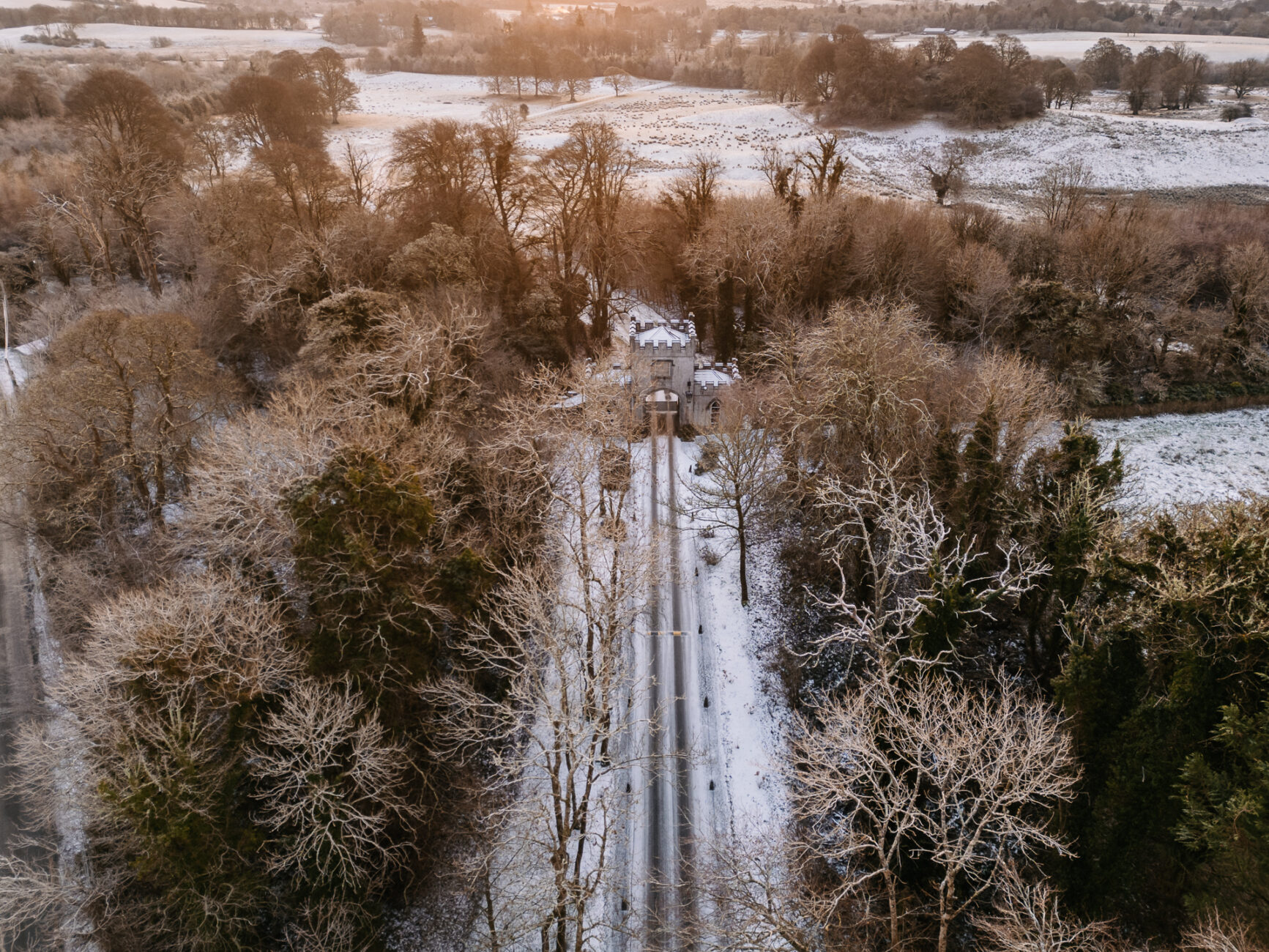 A snowy landscape with trees