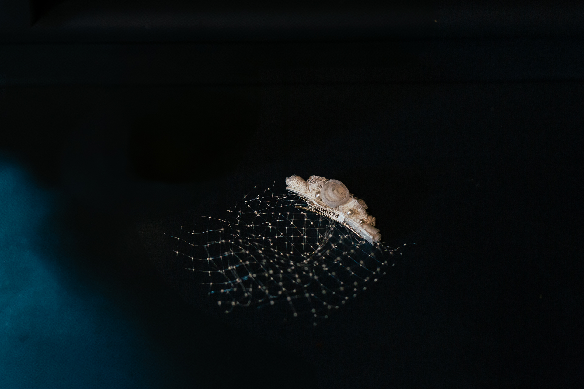 A close-up of a fish