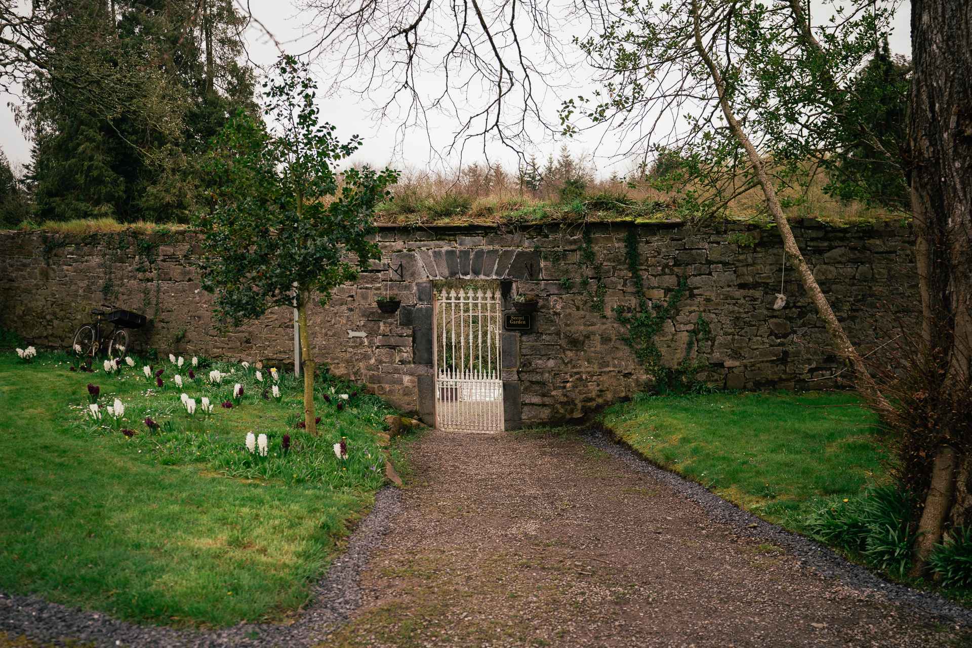 A stone wall with a gate and a garden of flowers