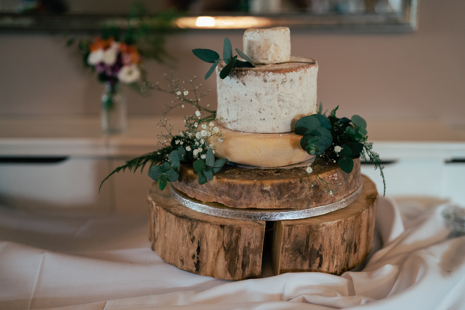 A cake with a plant on top