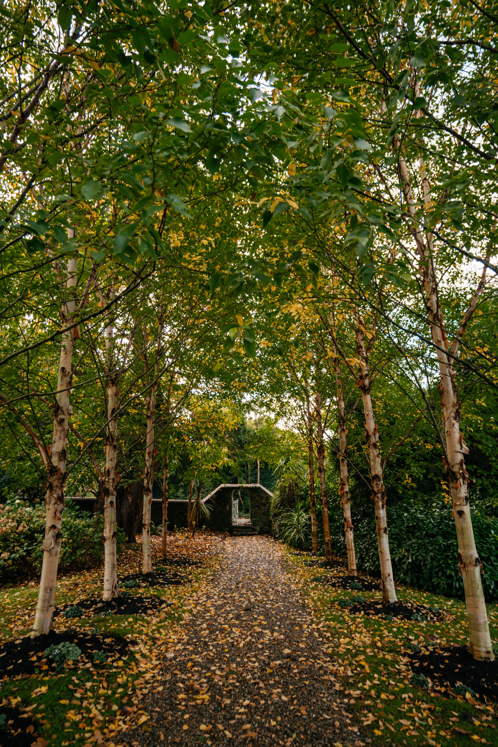 The serene gardens of Glin Castle, featuring vibrant blooms and winding paths perfect for a romantic escape