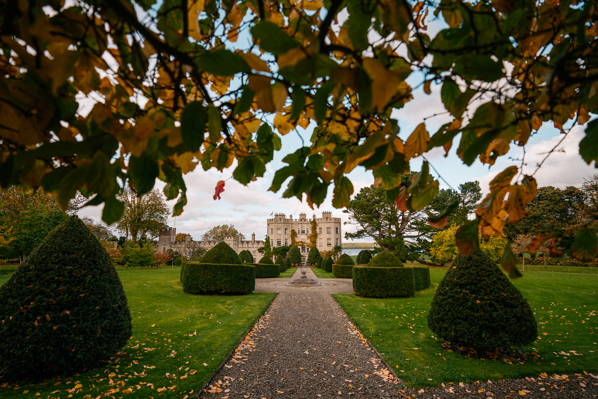 A path with bushes and trees on either side of it