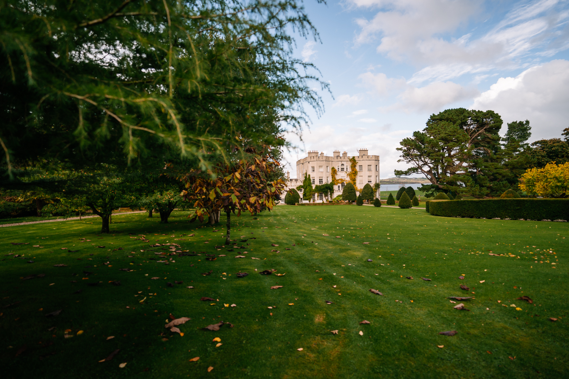 A large green lawn with trees and a building in the background