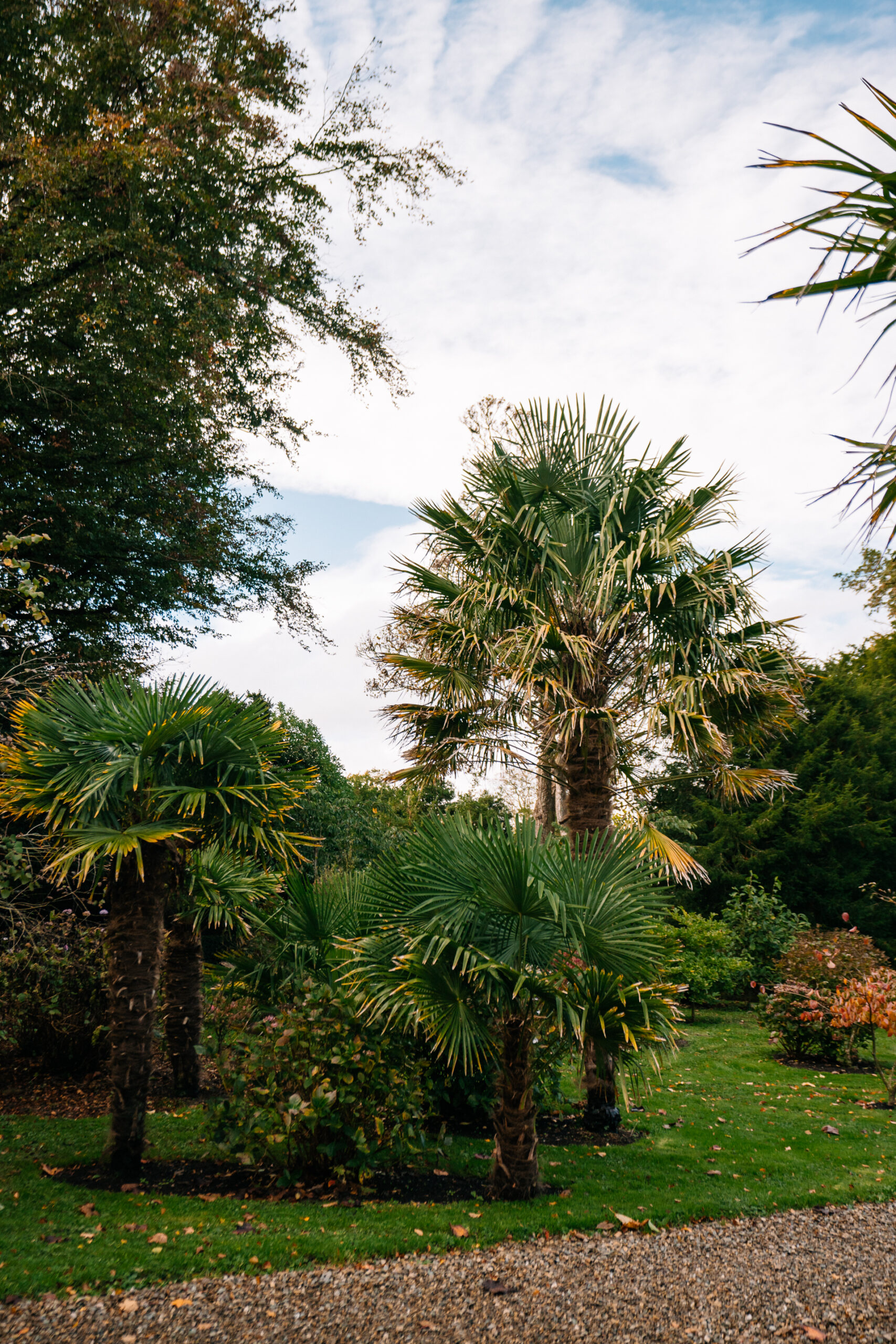 Glin Castle Wedding