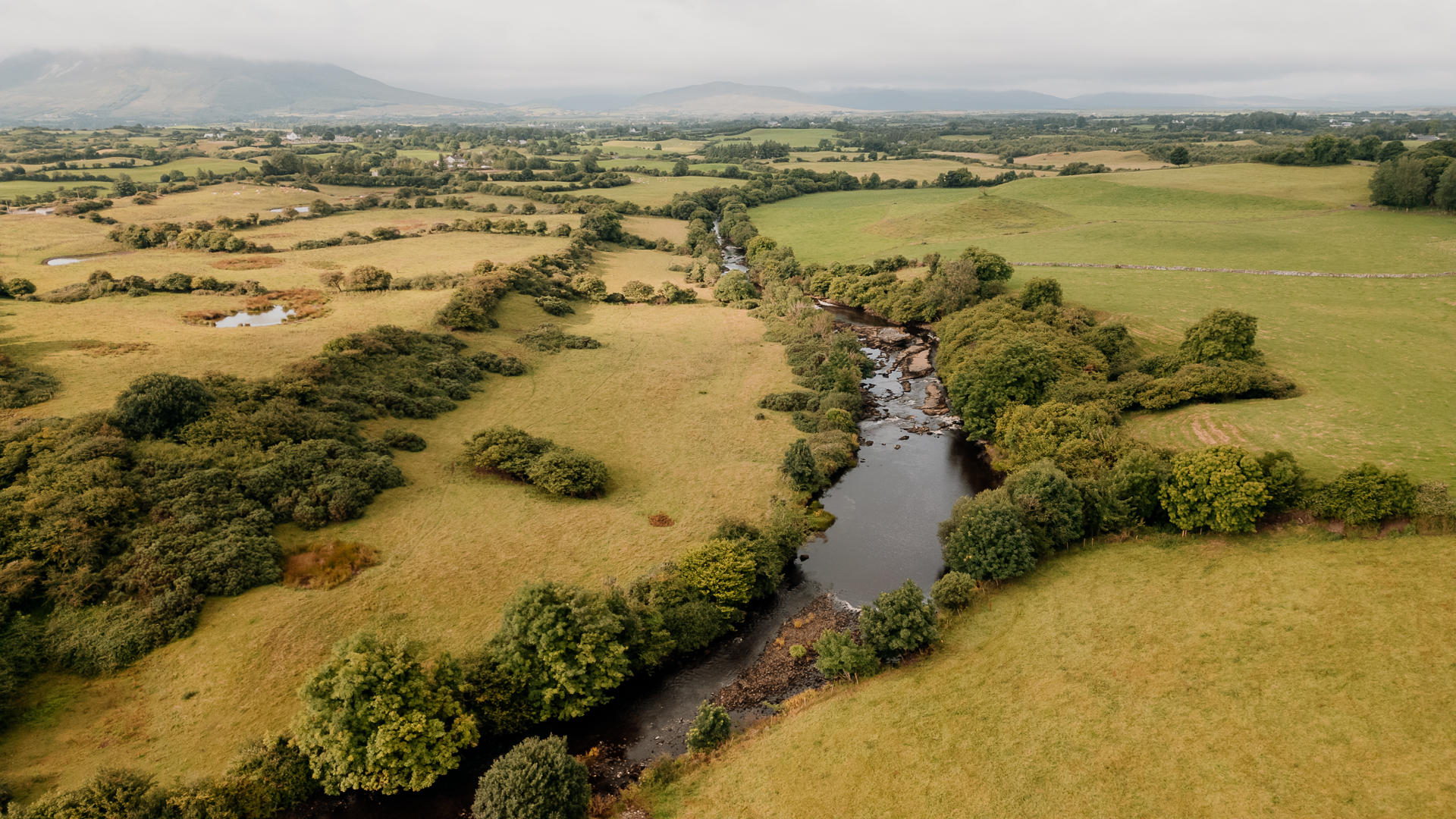 A river running through a field