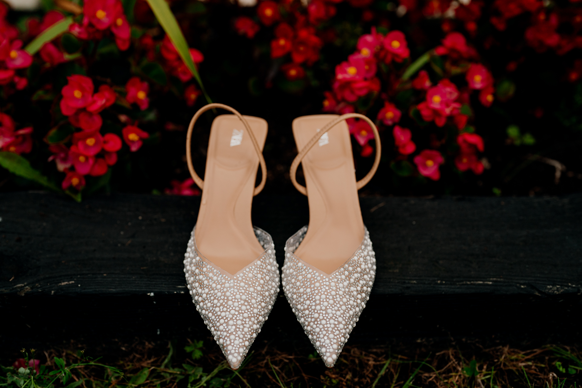 A pair of white shoes on a black surface with flowers in the background