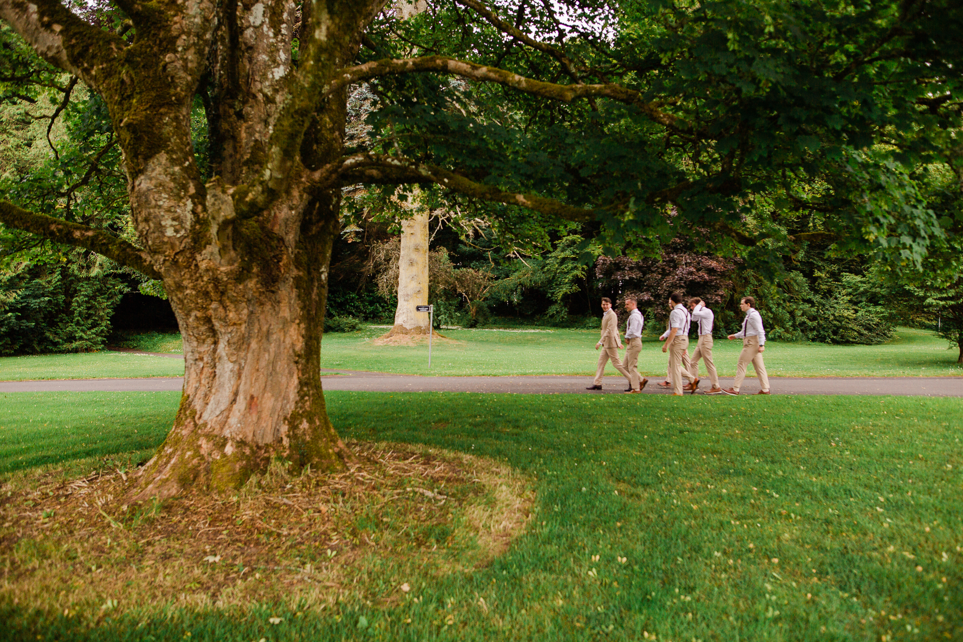 A group of people walking on a path under a tree