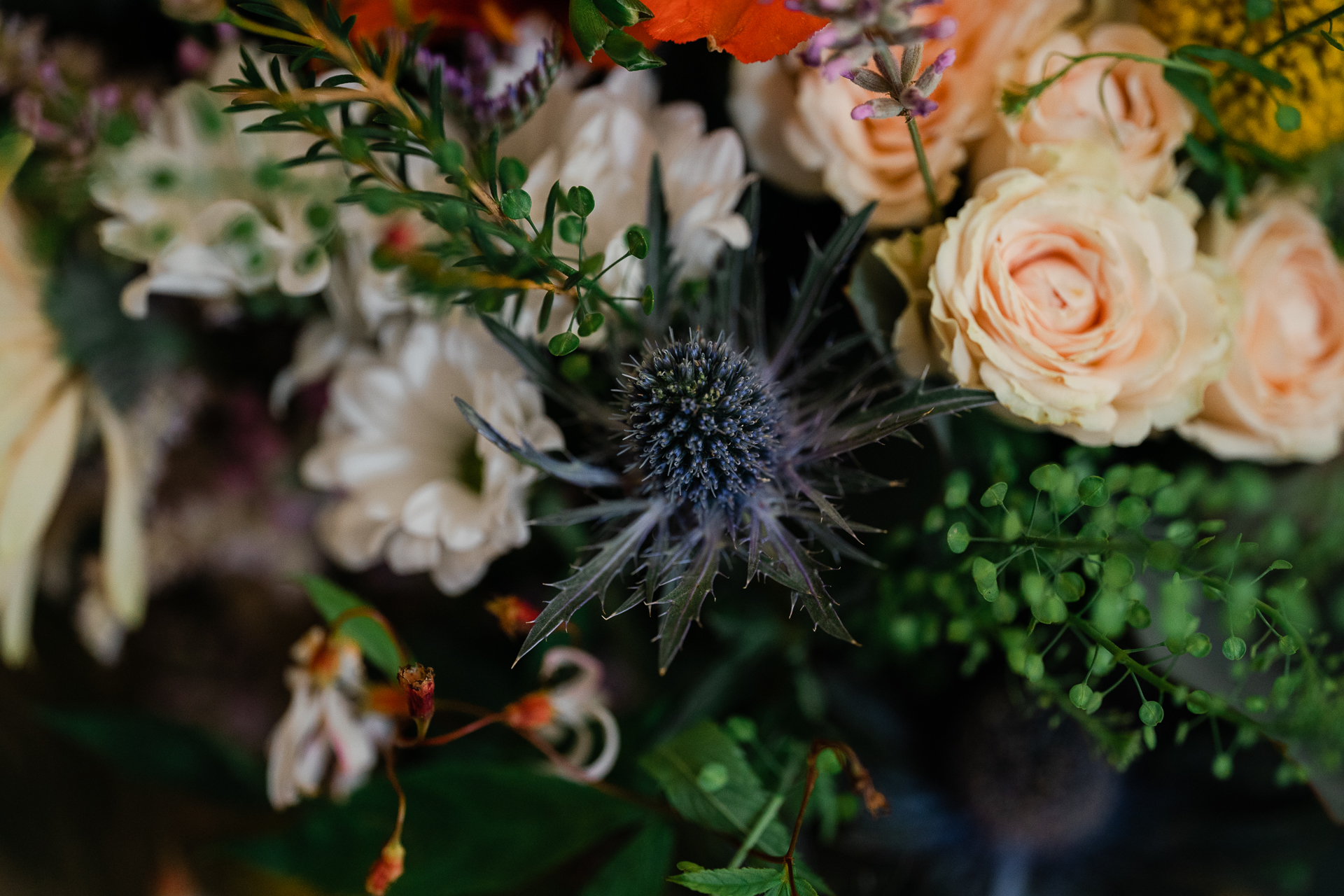 A close up of flowers