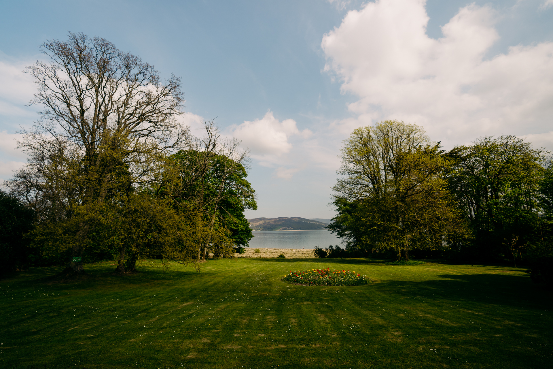 A grassy area with trees and a body of water in the background