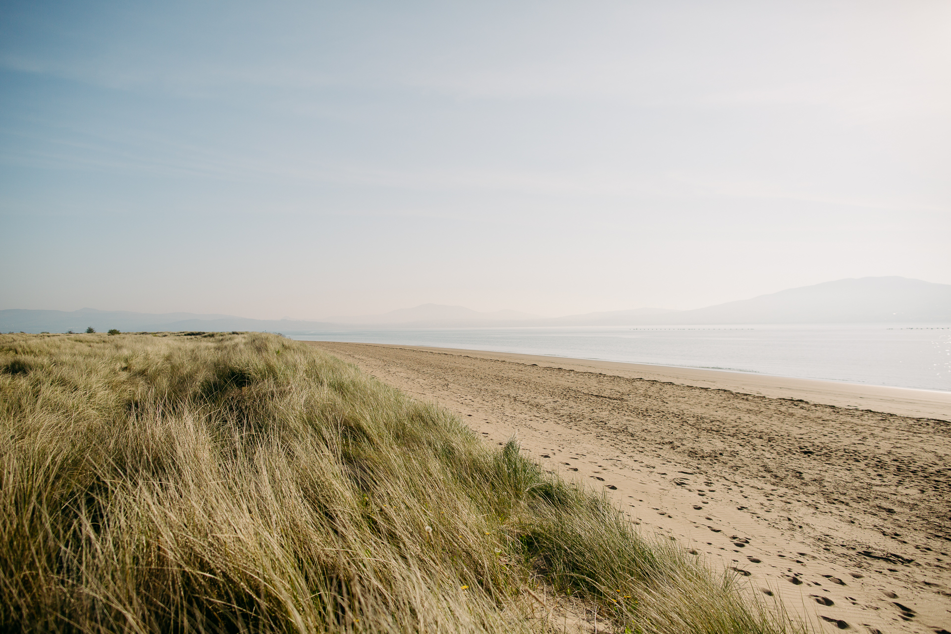 A sandy beach with grass and water in the background