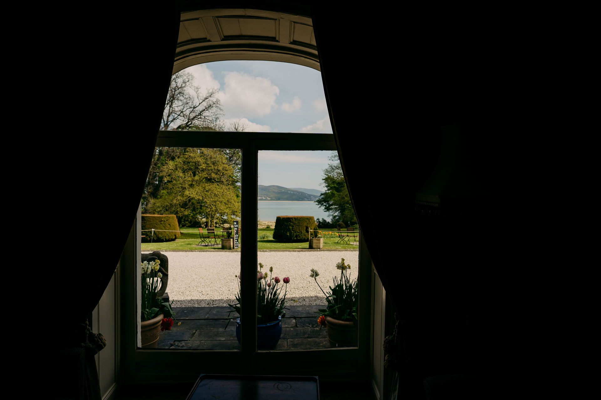 A view of a yard through a window