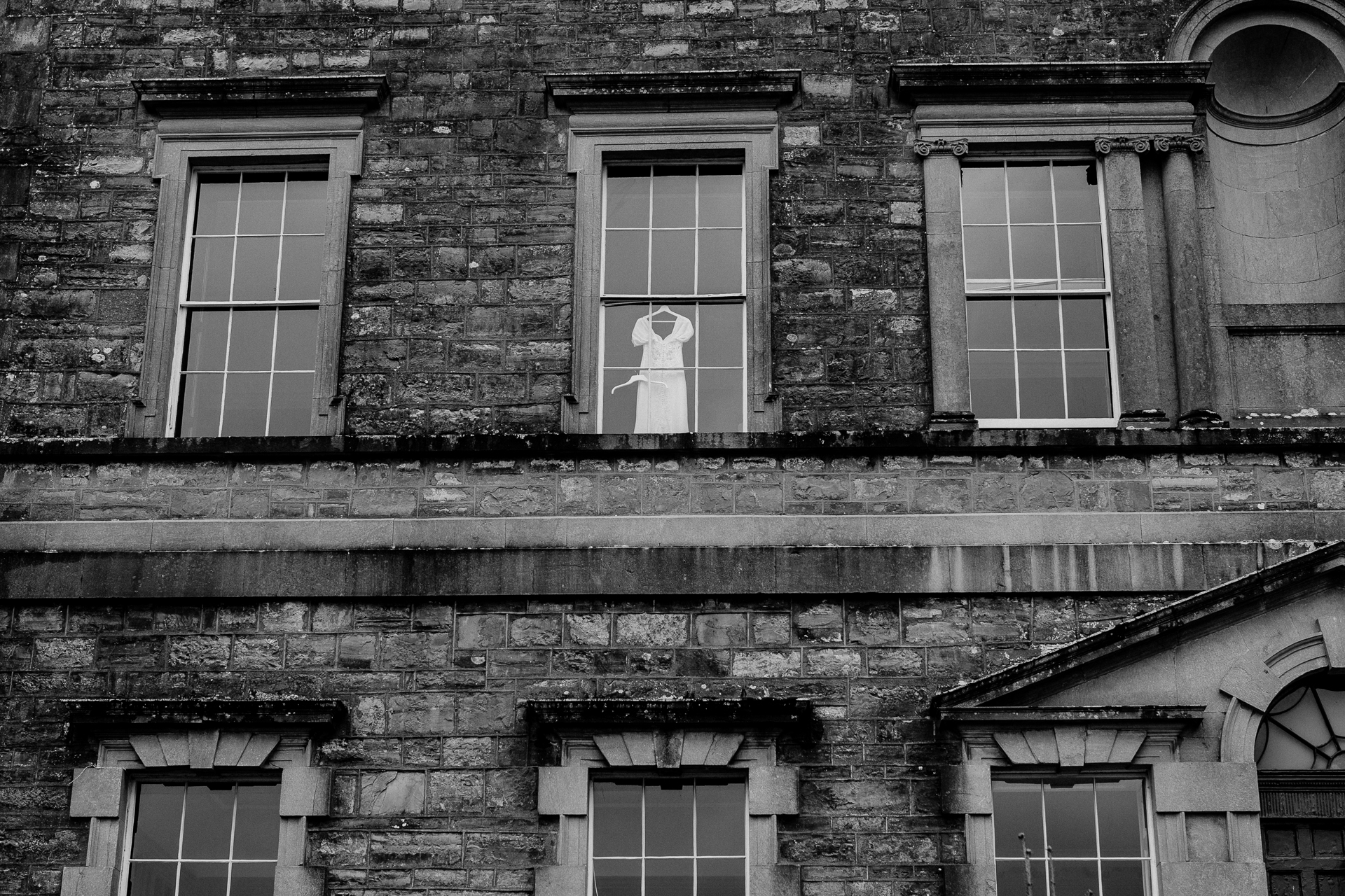 A dog looking out of a window