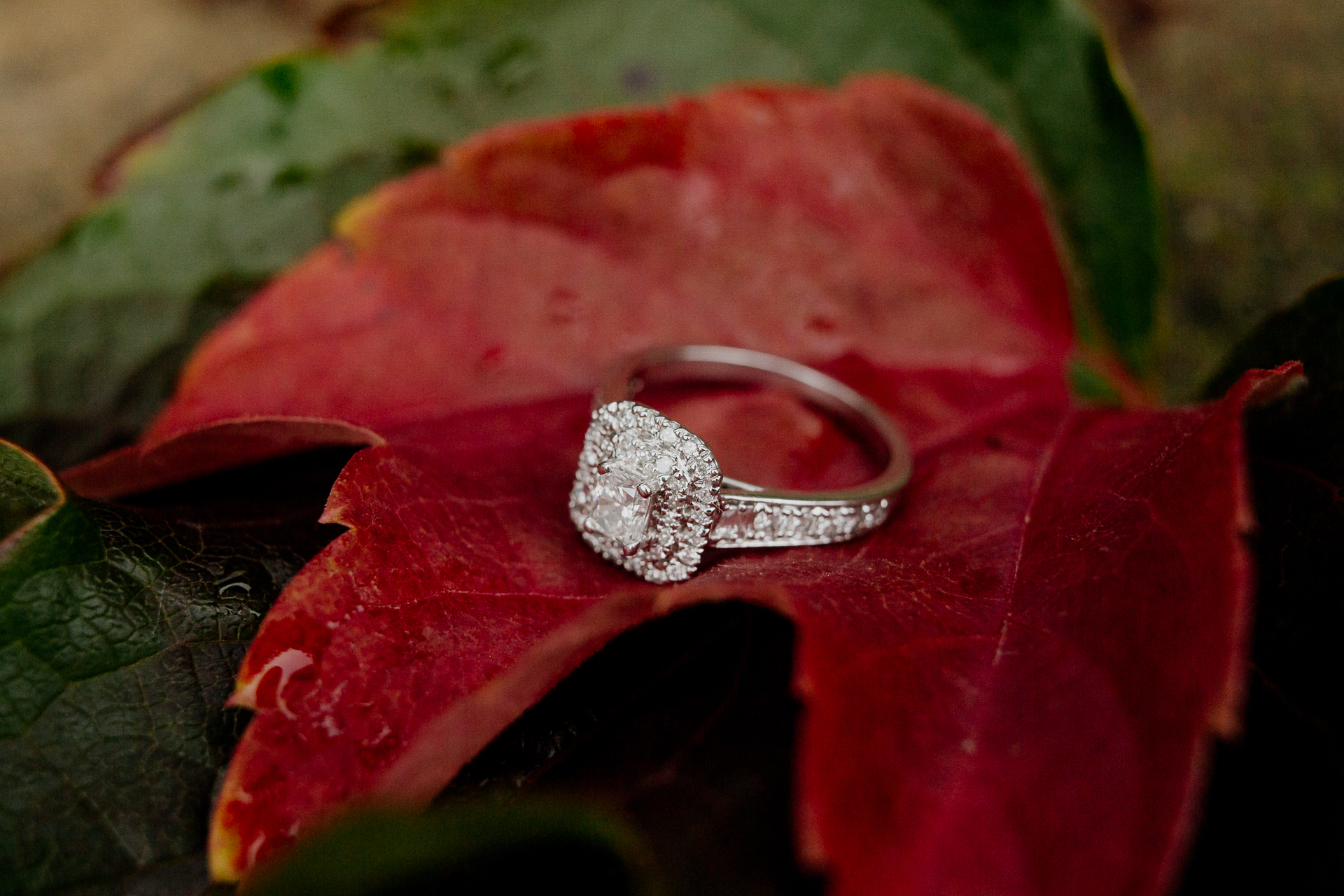 A ring on a leaf