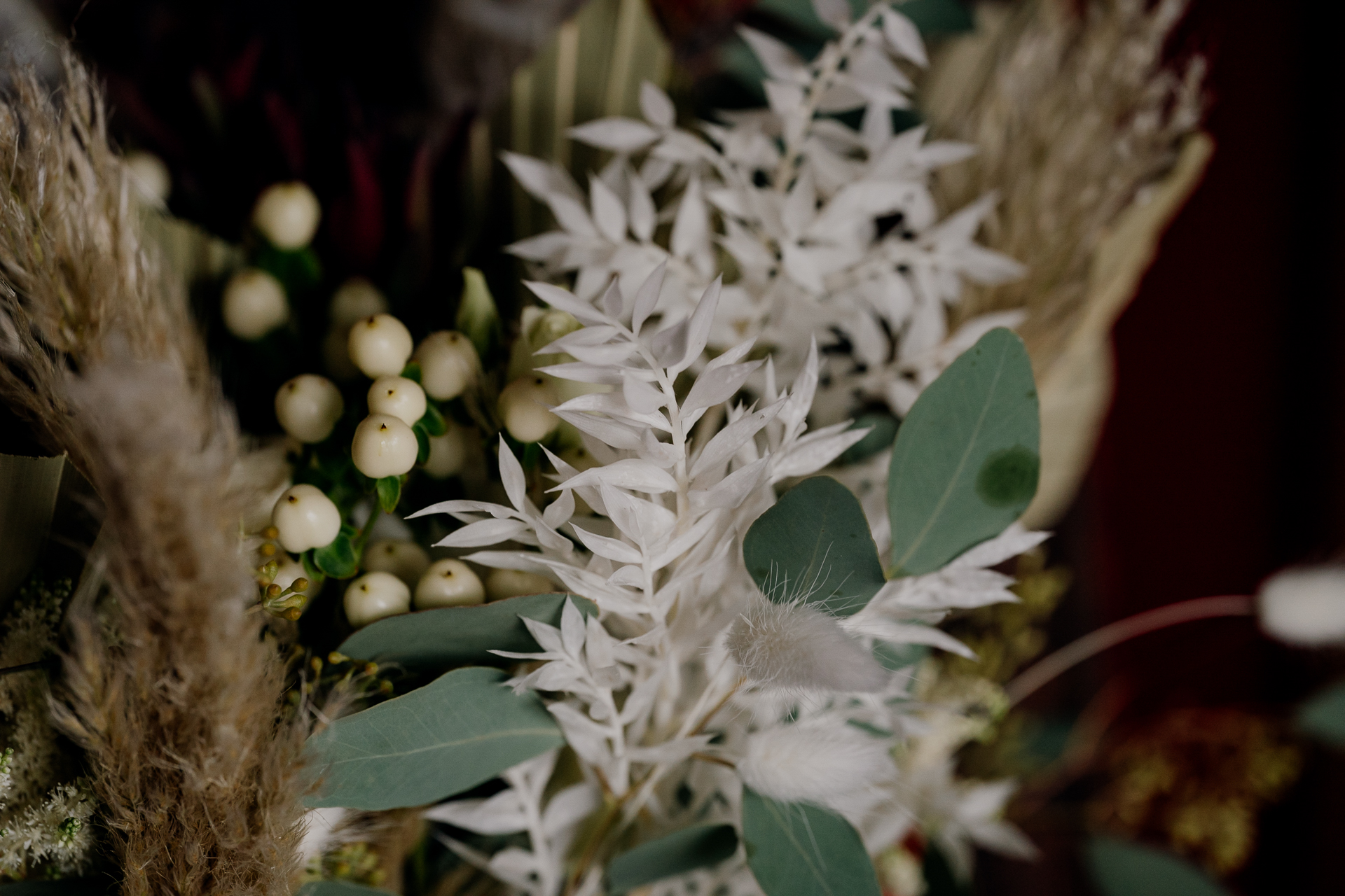 A close up of a white flower