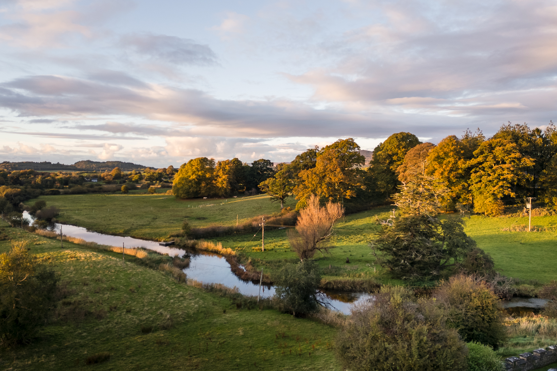 A stream running through a grassy area with trees around it