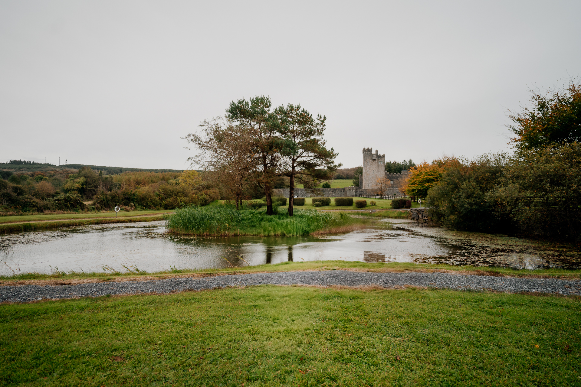 A pond with grass and trees around it