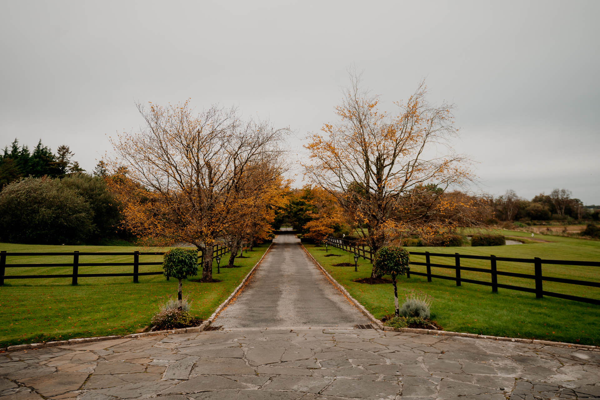 A path with trees on the side