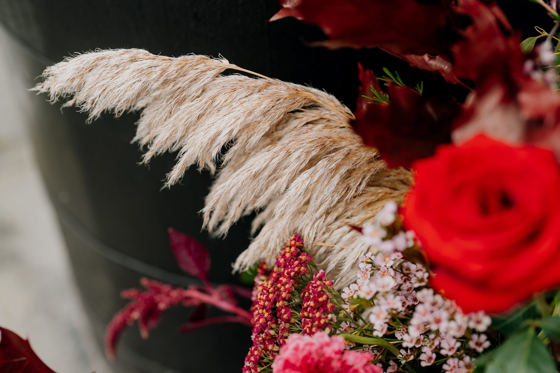 A white furry animal with a red flower in front of it