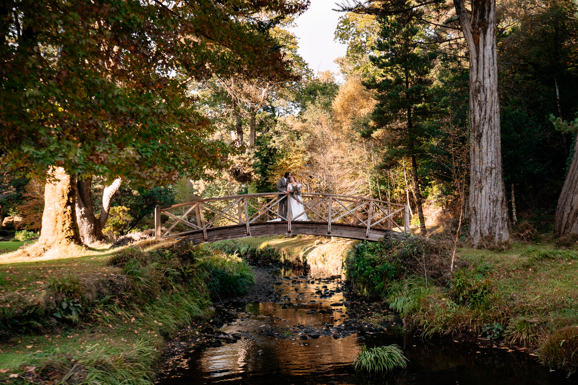 A couple walking on a bridge over a stream in a forest