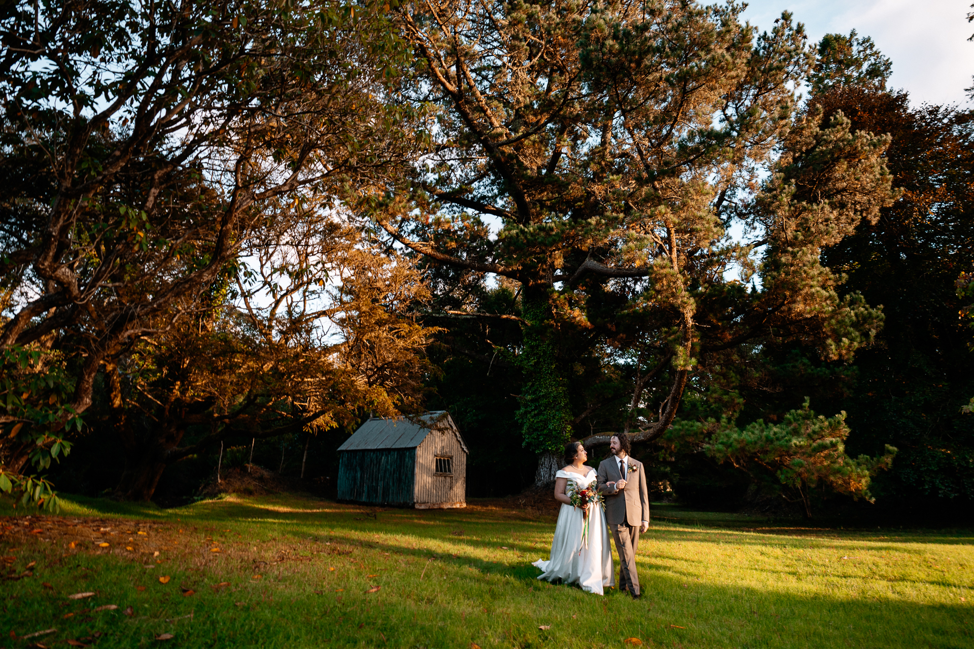 A man and woman in wedding attire standing in a field with trees