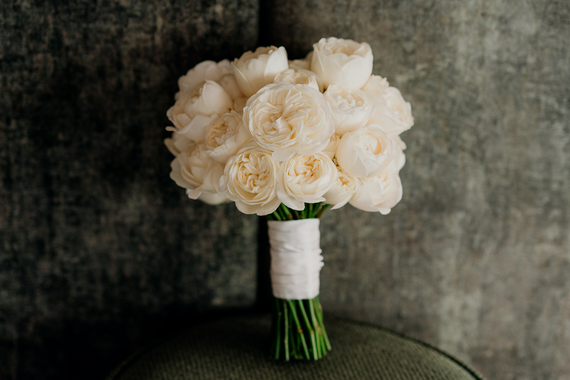 A vase with white flowers