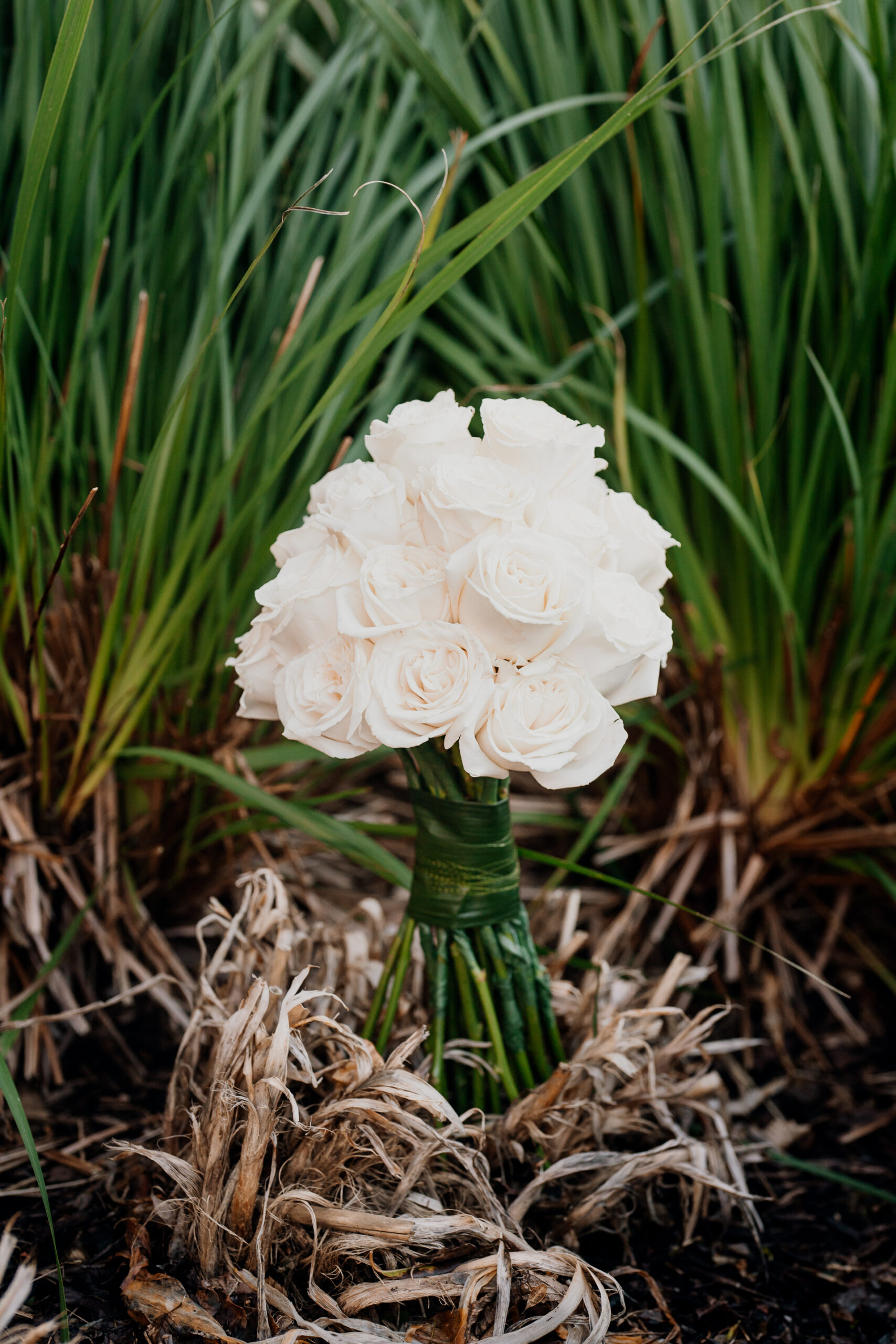 A white flower in a green vase