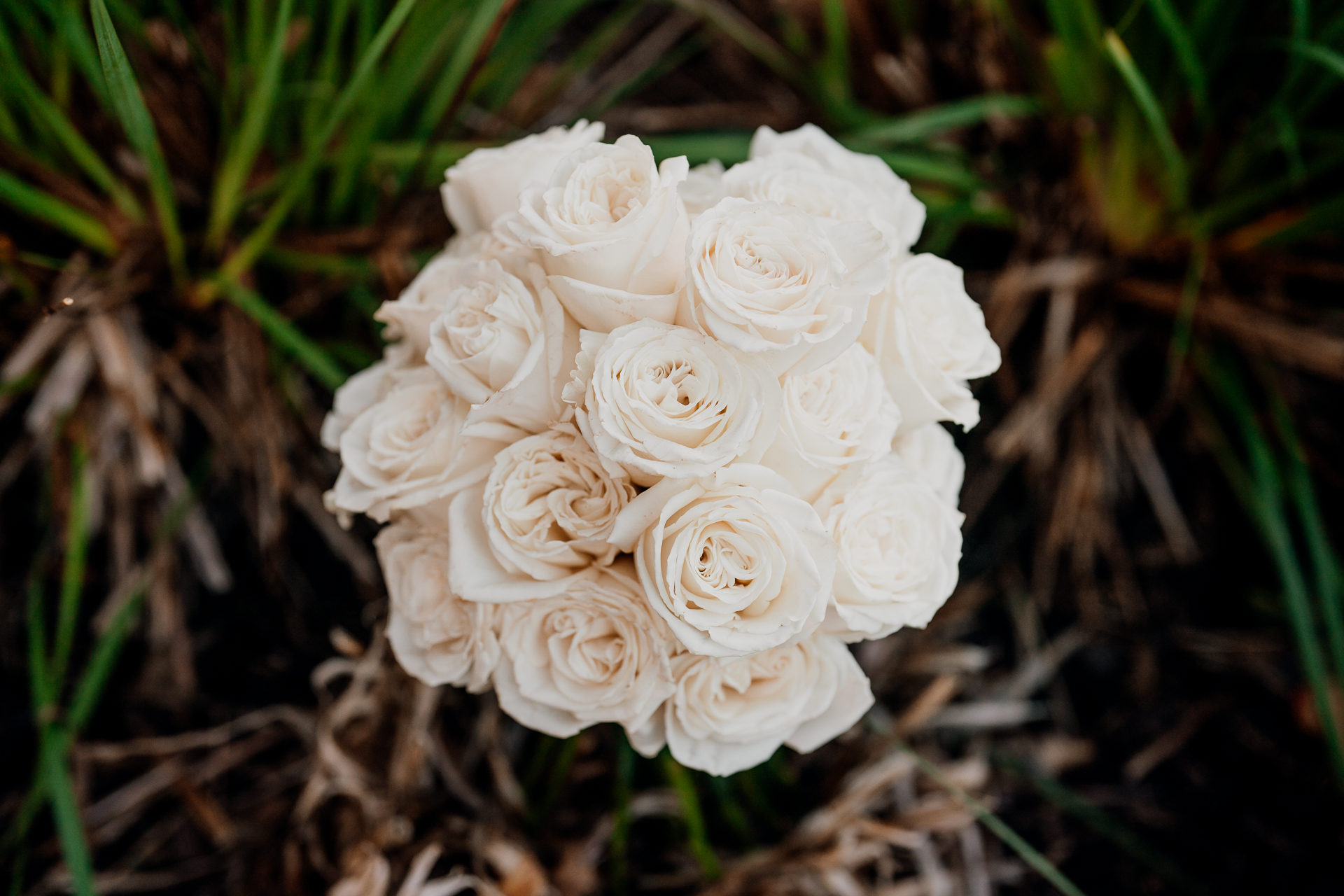 A bouquet of white roses