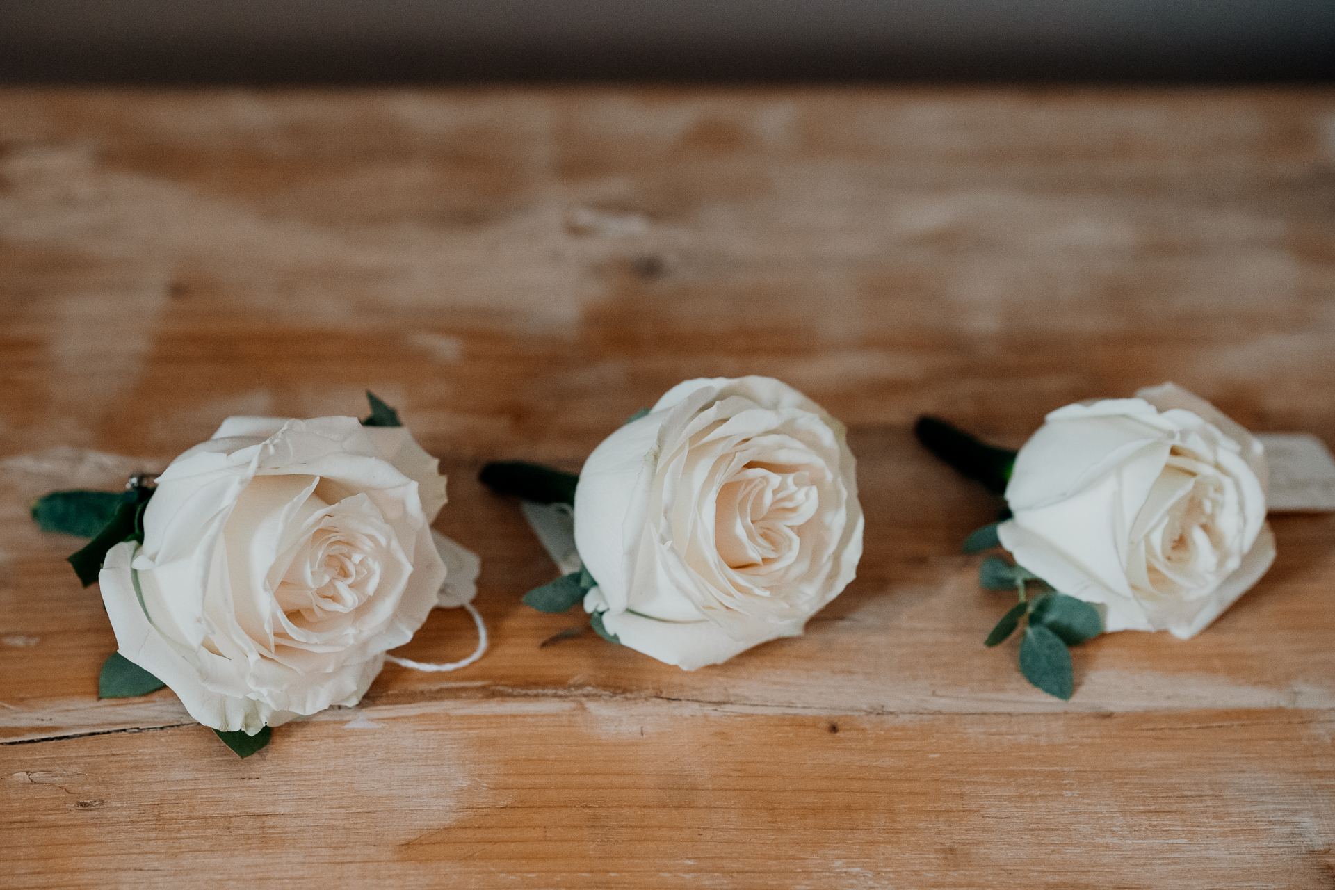 A group of white roses