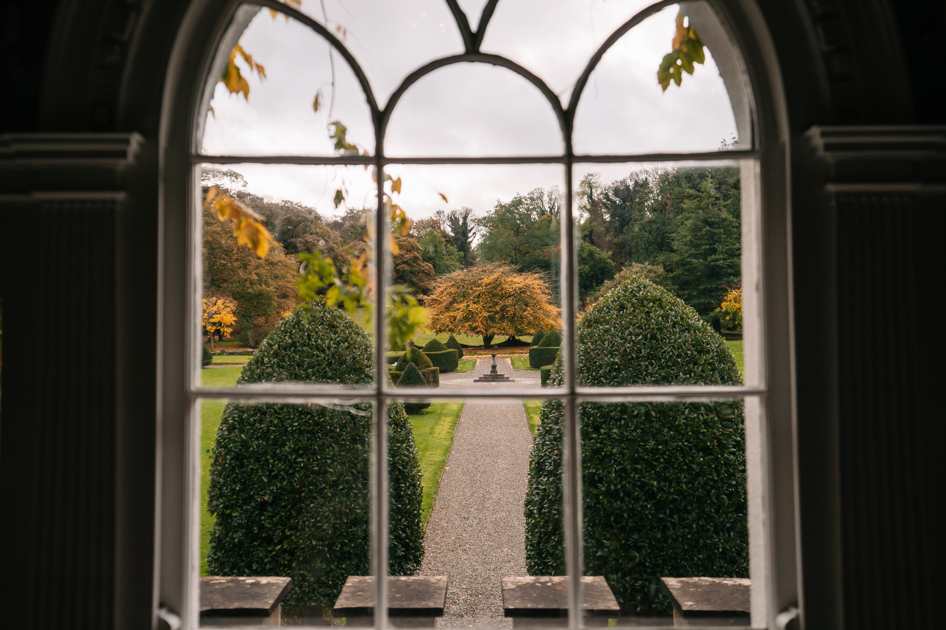 A view of a garden through a window