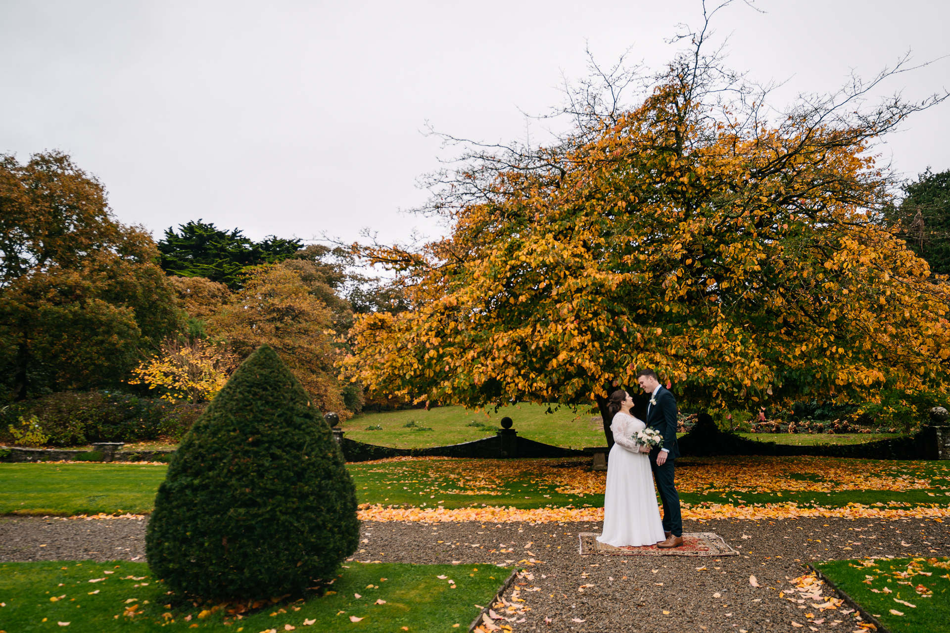 A man and woman kissing in a park with a tree and bushes