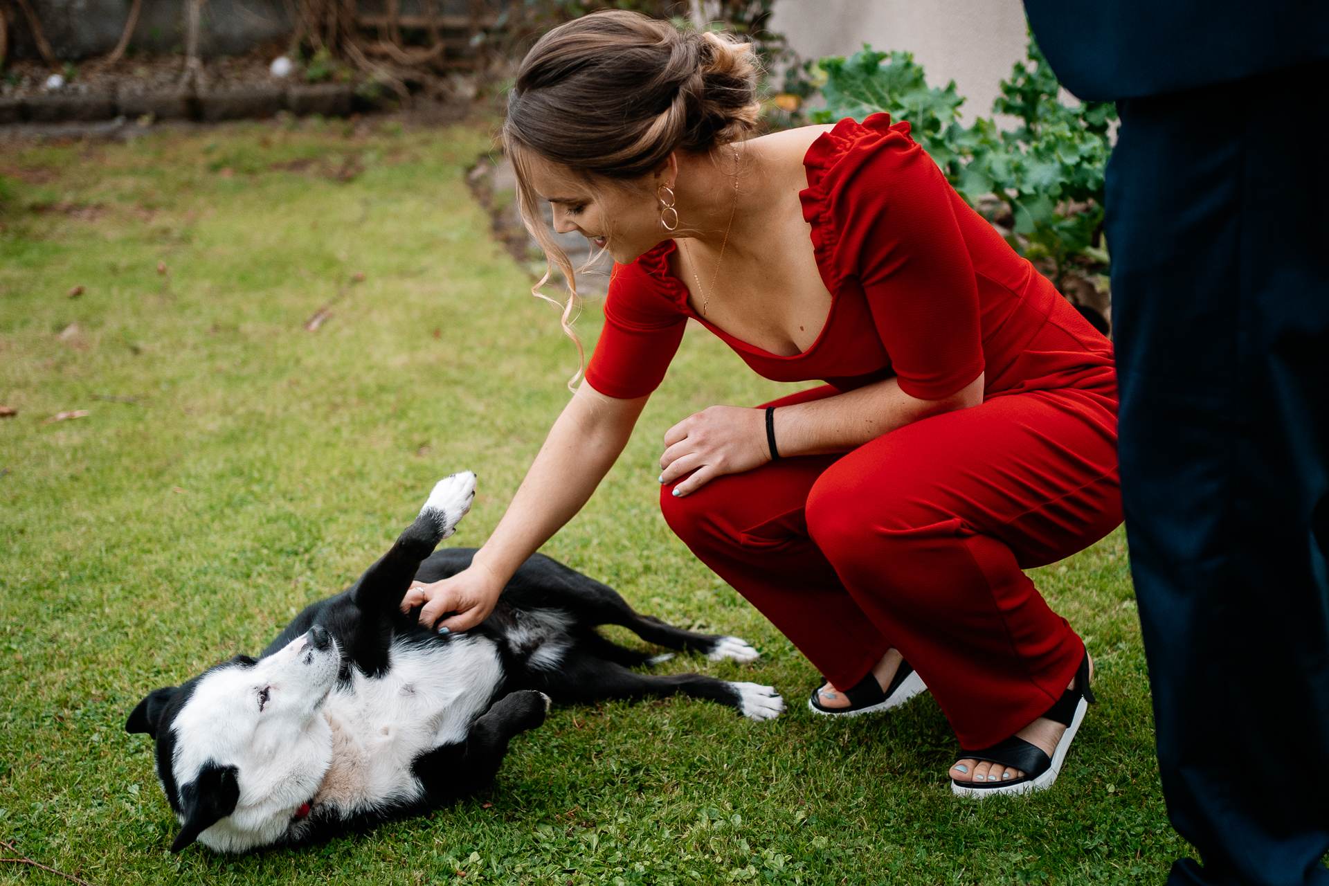 A man petting a dog