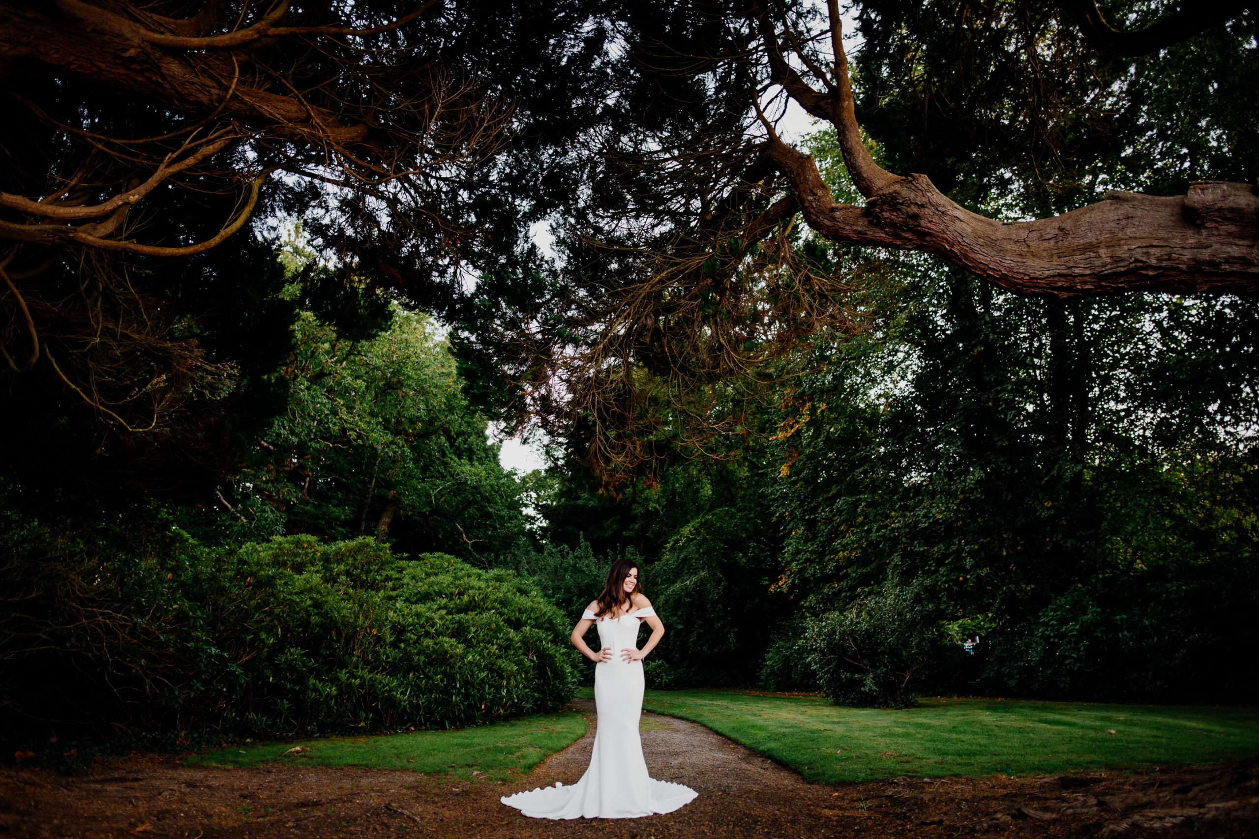 Bride standing under a wide tree at the edge of the Markree Castle forest garden – a romantic moment before the ceremony in Ireland.