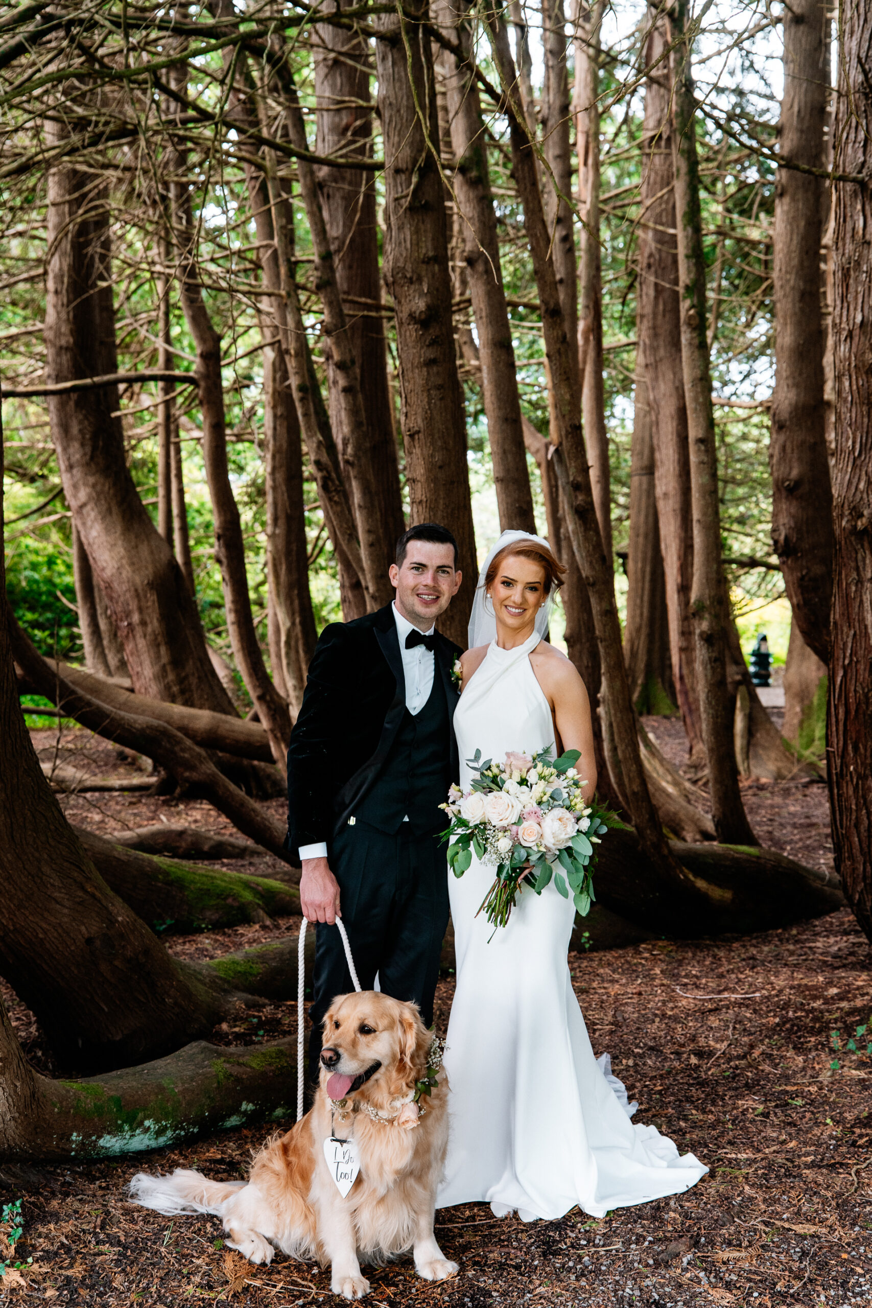 Bride and groom with their Golden Retriever in the woods at Markree Castle wedding in Ireland – photographed by Destination Wedding Photographer Wojciech Koza.
