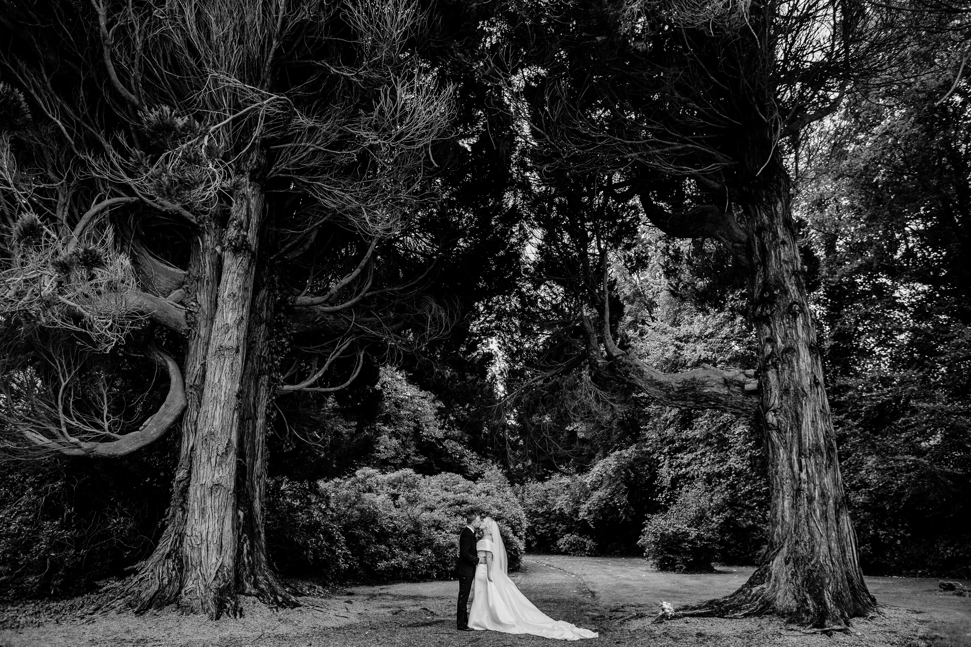 Bride and groom walking under tall trees in Markree Castle garden – black and white photo

