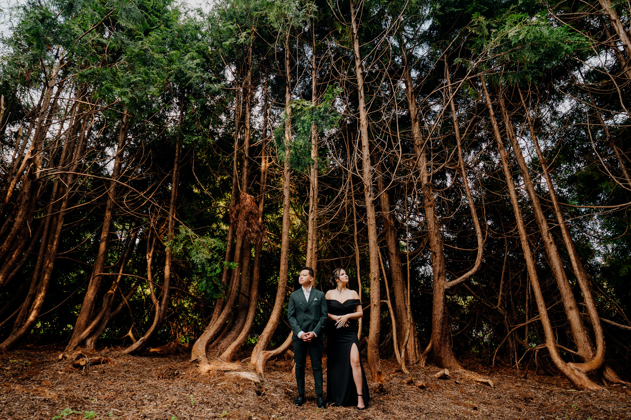 Woodland wedding ceremony area with lights among the trees at Markree Castle
