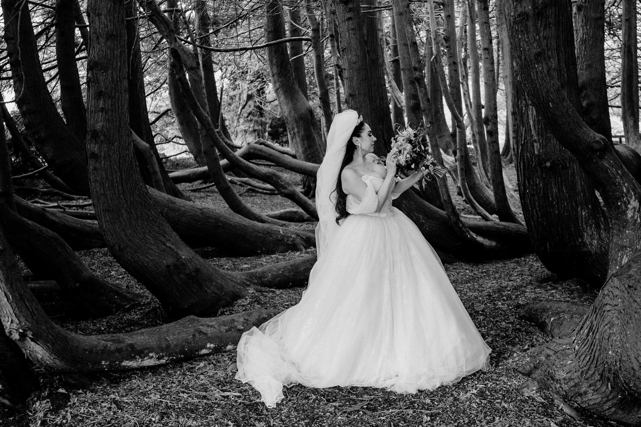 Bride and groom wedding portrait in the Woodlands at Markree Castle