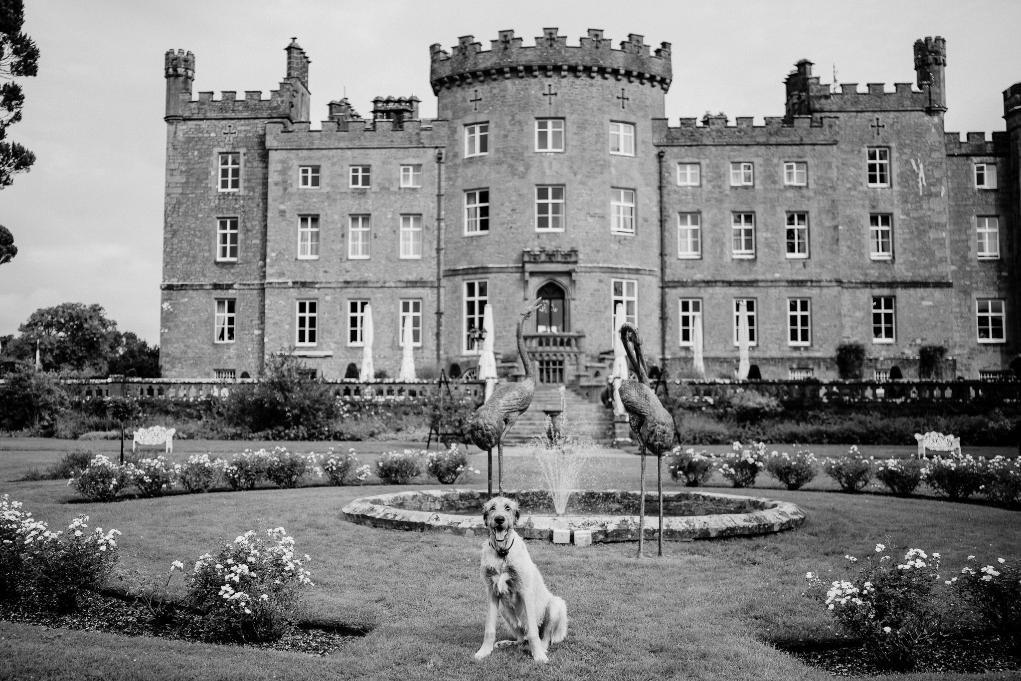 Couple with their puppy Fionn outside Markree Castle during their wedding preparations