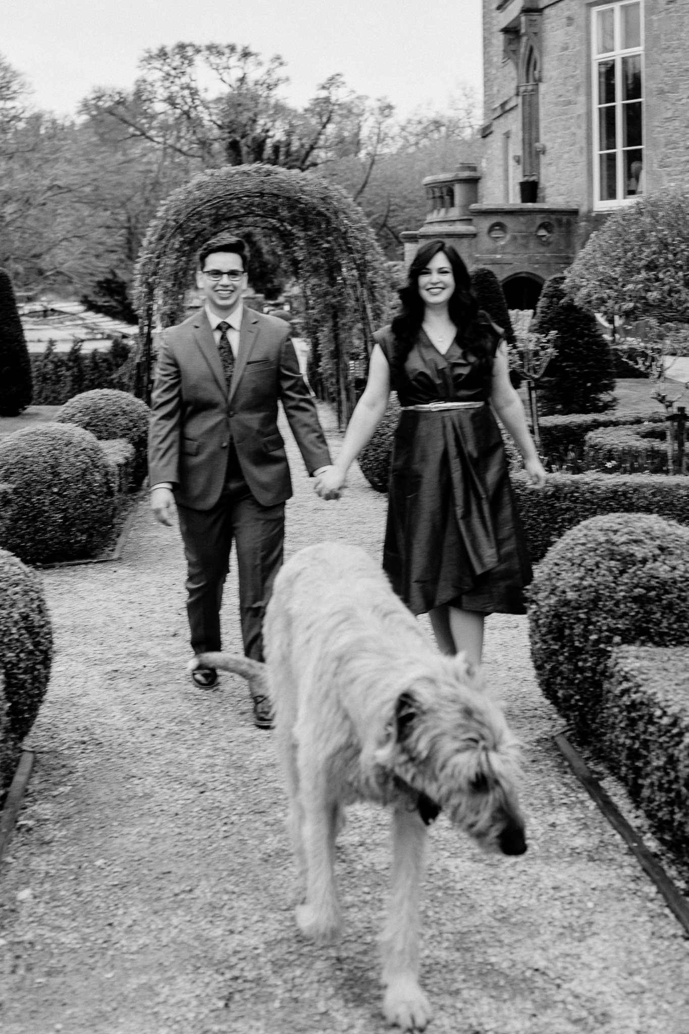 Fion, the Irish Wolfhound at Markree Castle, walking with a newly engaged couple through the castle gardens in Sligo, Ireland.