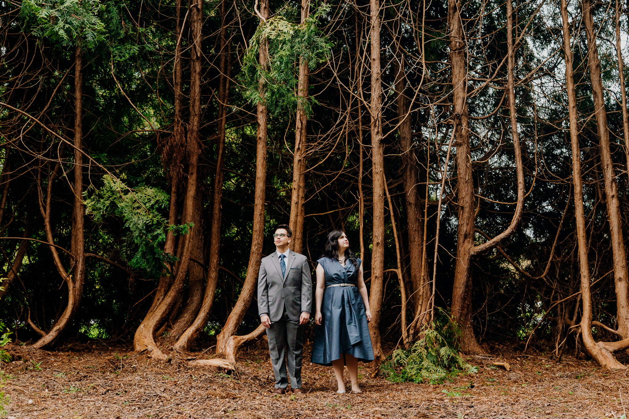 Engaged couple standing among tall trees in the woodland near the river at Markree Castle, County Sligo, Ireland.