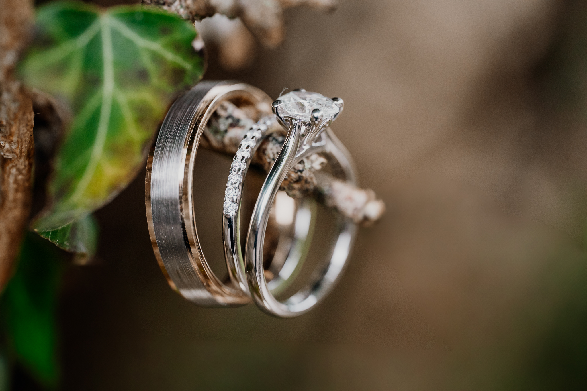 Close-up of sparkling wedding rings photographed among delicate decorative details at Markree Castle.