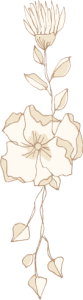 home_intro_decoration